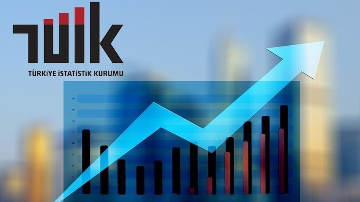 TÜİK ağustos ayı dış ticaret endekslerini açıkladı: İthalat ve ihracatta birim değer arttı