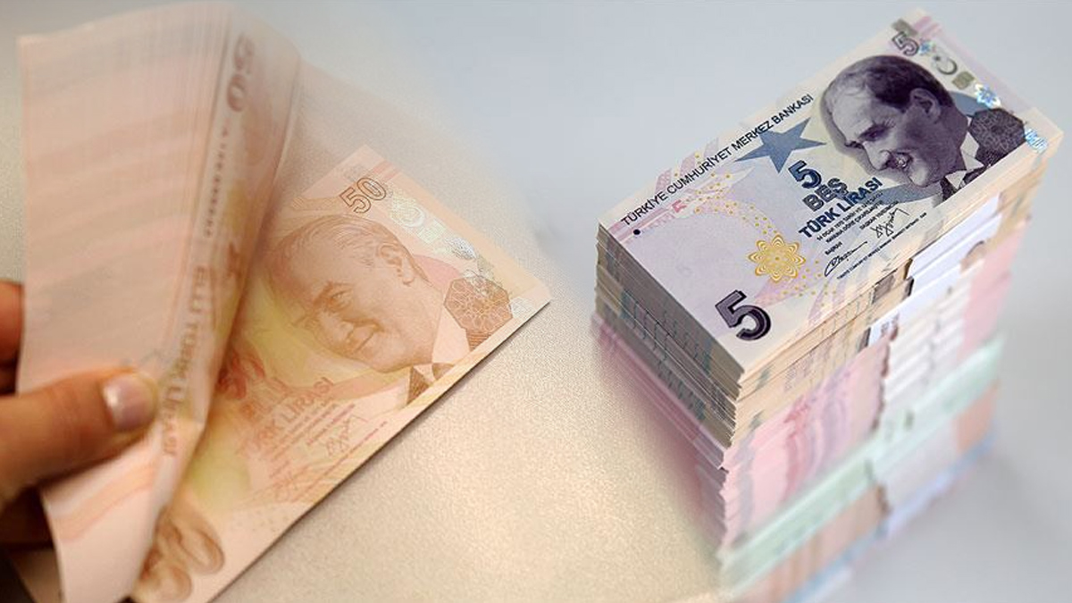 Yeni 50 TL ve 5 TL banknotlar tedavüle girdi