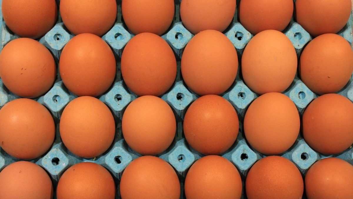 Sofralık yumurta ihracatında yeni düzenleme