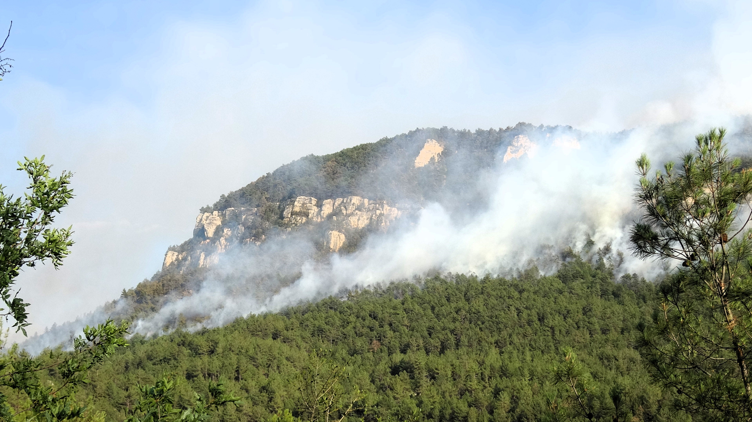 V Turčiji uničujoči gozdni požari: Več okrožij v Antalyi in Karabuku v plamenih