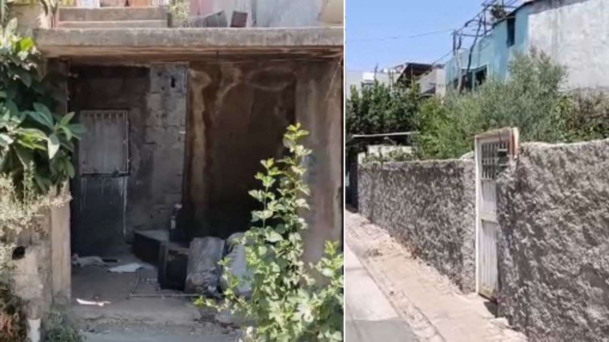 V Adani sin ubil lastno mater