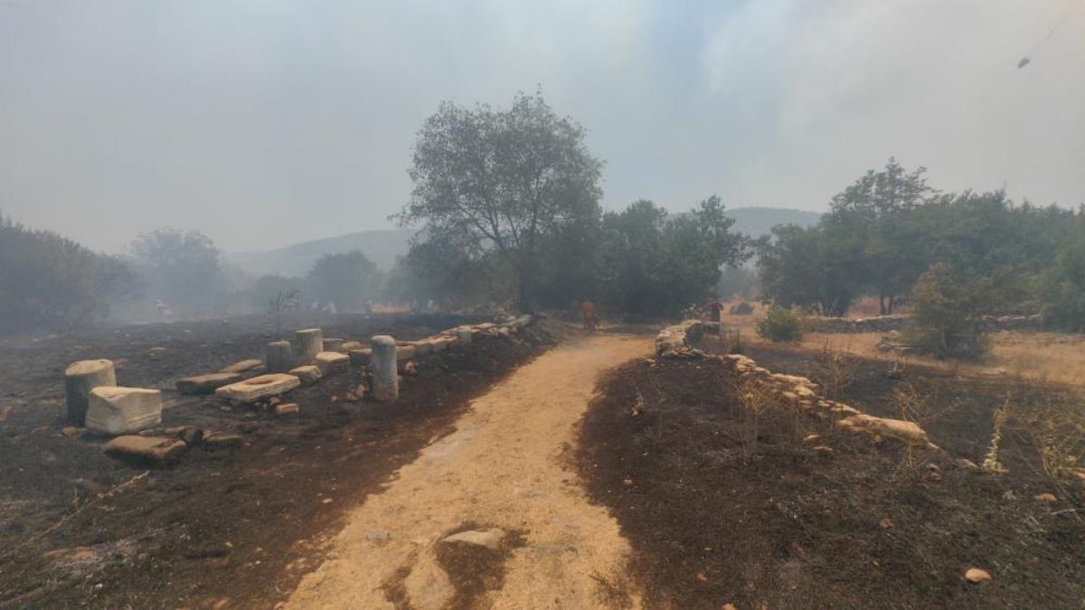 Požar ogrozil zgodovinsko mesto Stratonikeia v Turčiji