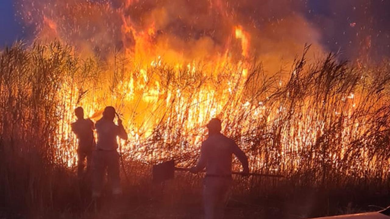 Novo vodstvo prizadevanj za obvladovanje gozdnih požarov v Turčiji