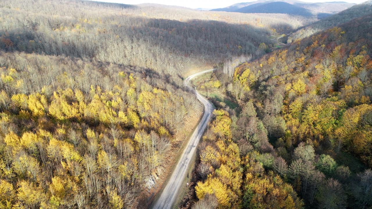 V Hatayu prepoved vstopa v gozdove do 30. julija zaradi nevarnosti požarov