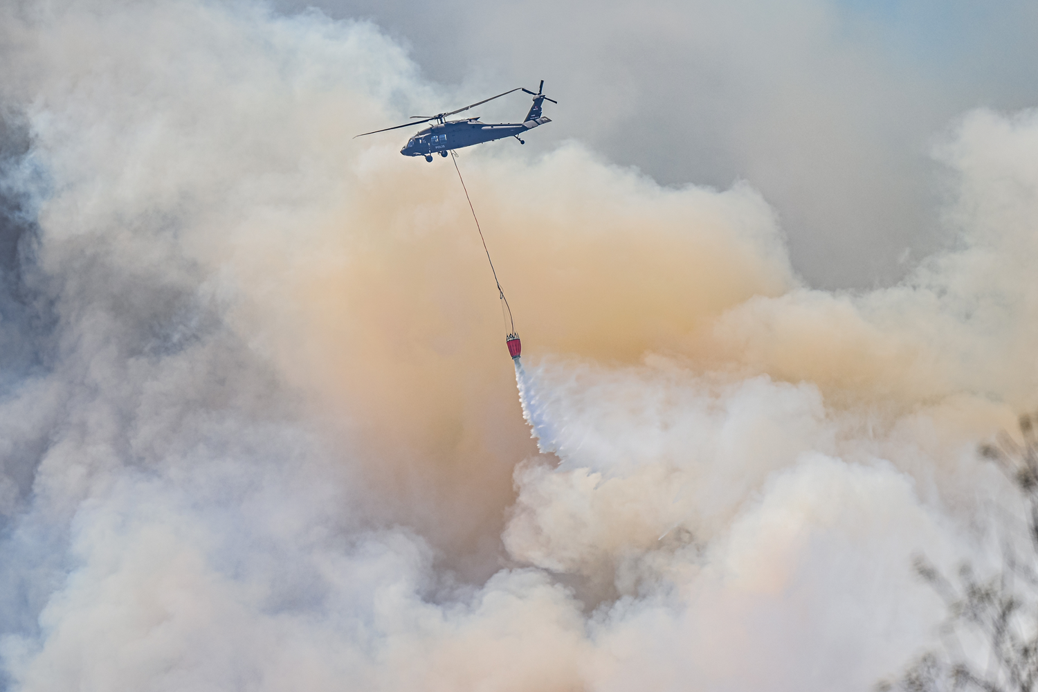Prizadevanja za zajezitev gozdnih požarov v Turčiji nadaljevana