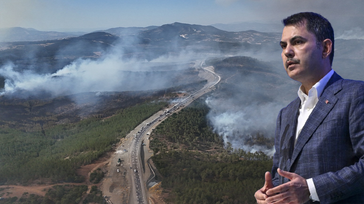 Blišč in bedo: 104 objekti uničeni v gozdnih požarih