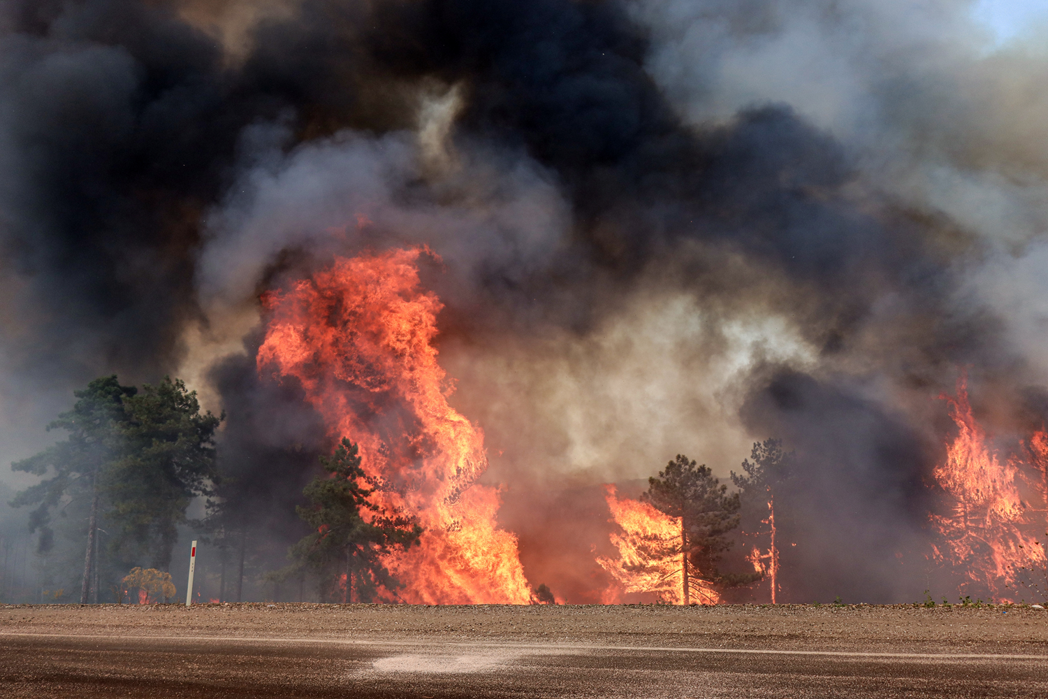 Gozdni požari v Bursi in Izmirju terjajo obsežno posredovanje