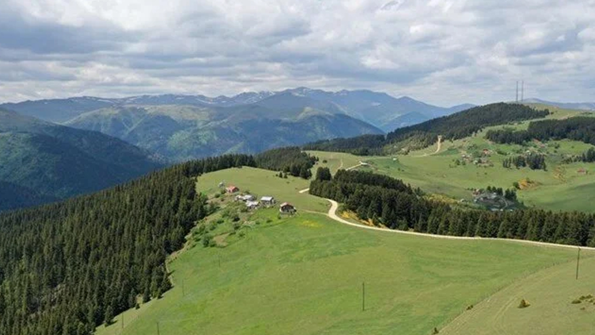 V streljanju na planini v Giresunu umrli trije ljudje