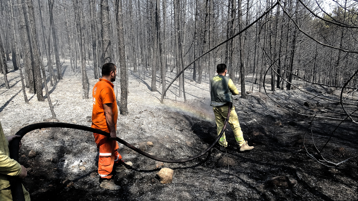 Karabuk pod nadzorom, nadaljujejo se gozdni požari v Bursi