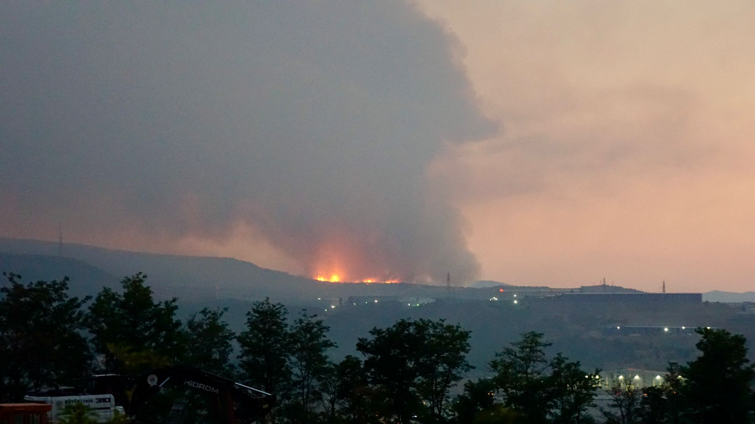 Bilančni pregled poškodb po gozdnih požarih: 132 enot močno poškodovanih ali uničenih