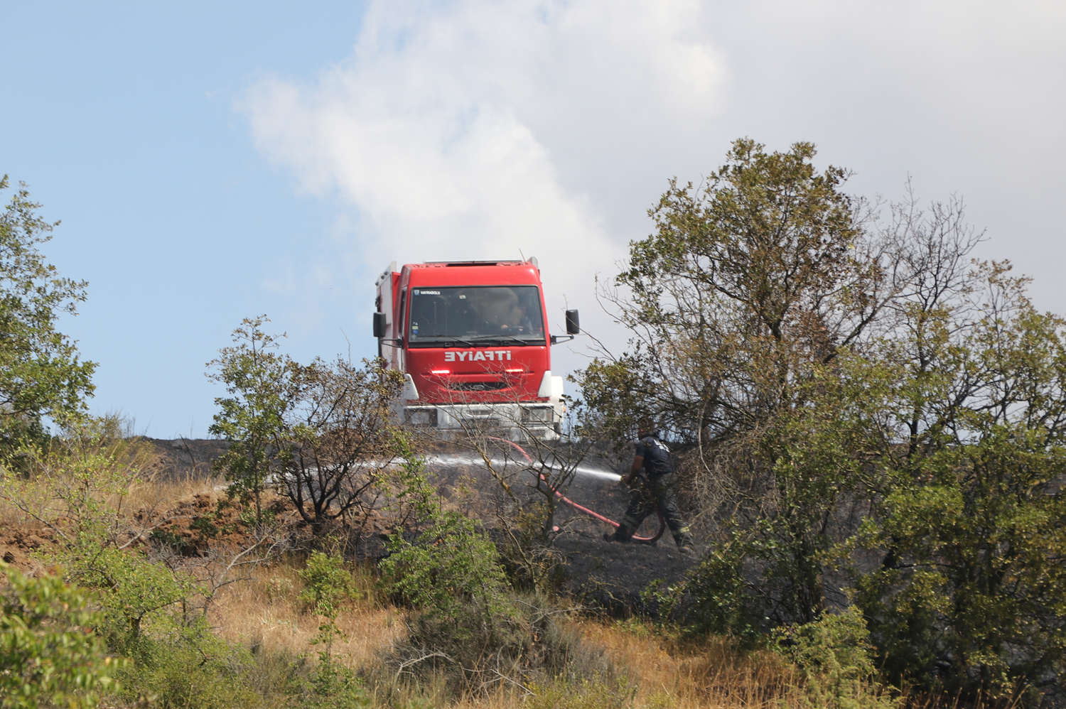 V Tekirdağu v Turčiji se spopadajo z gozdnim požarom, ki se je razširil iz požara na strnišču