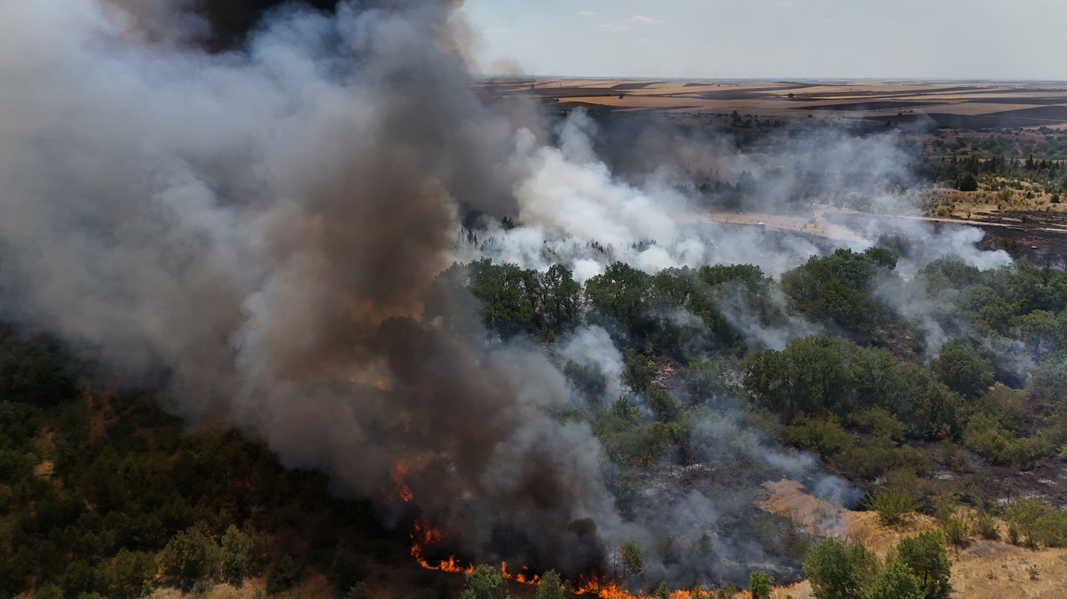 Požar v Kırklareliju zaprl avtocesto v Evropo, gašenje trajalo pet ur