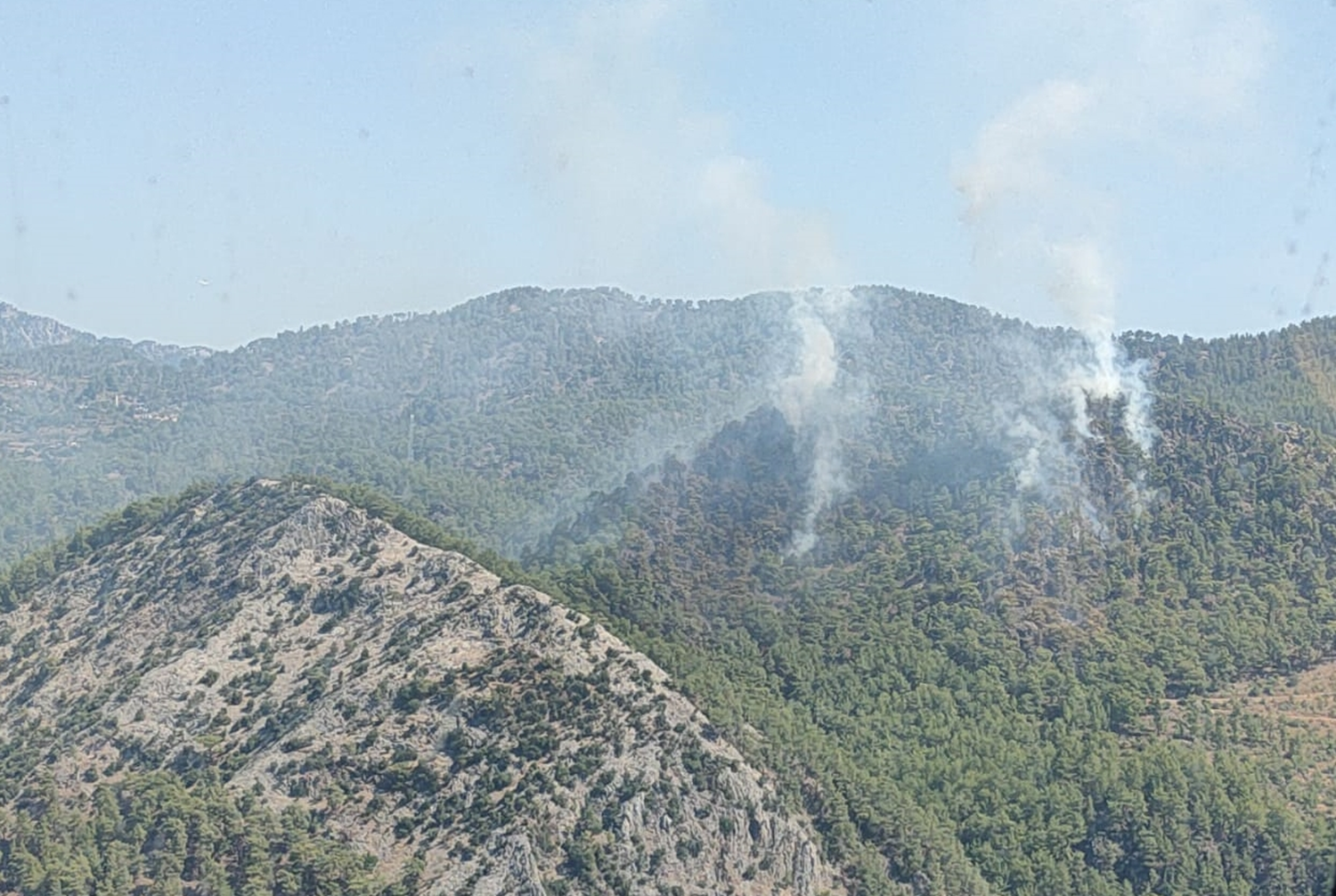 V Mersinu v Turčiji izbruhnil gozdni požar