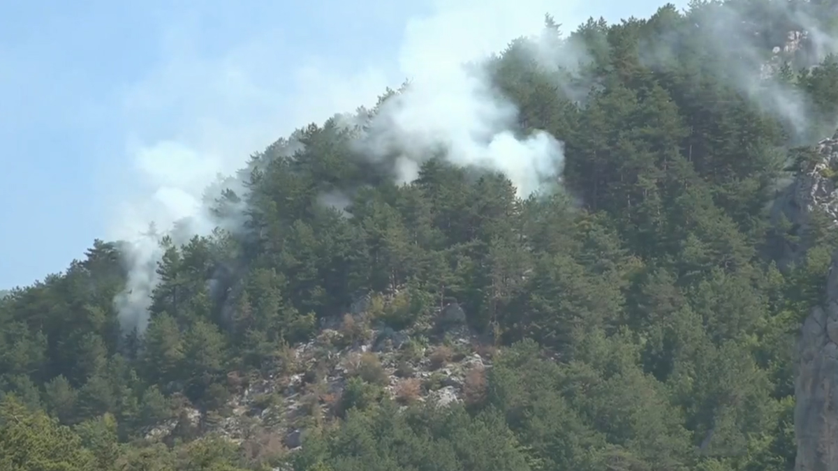 V Sinopu v Turčiji se gasilci borijo z obsežnim gozdnim požarom, evakuirana vas Köklen