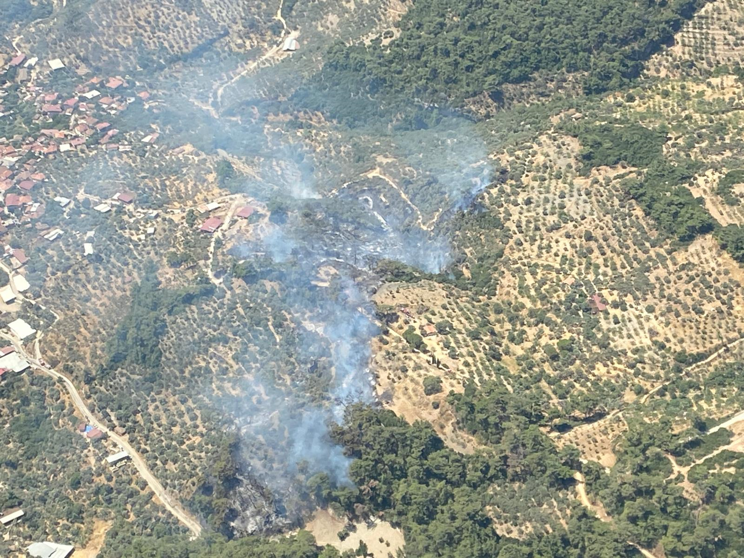 Požar v Aydınu, Turčija, pod nadzorom