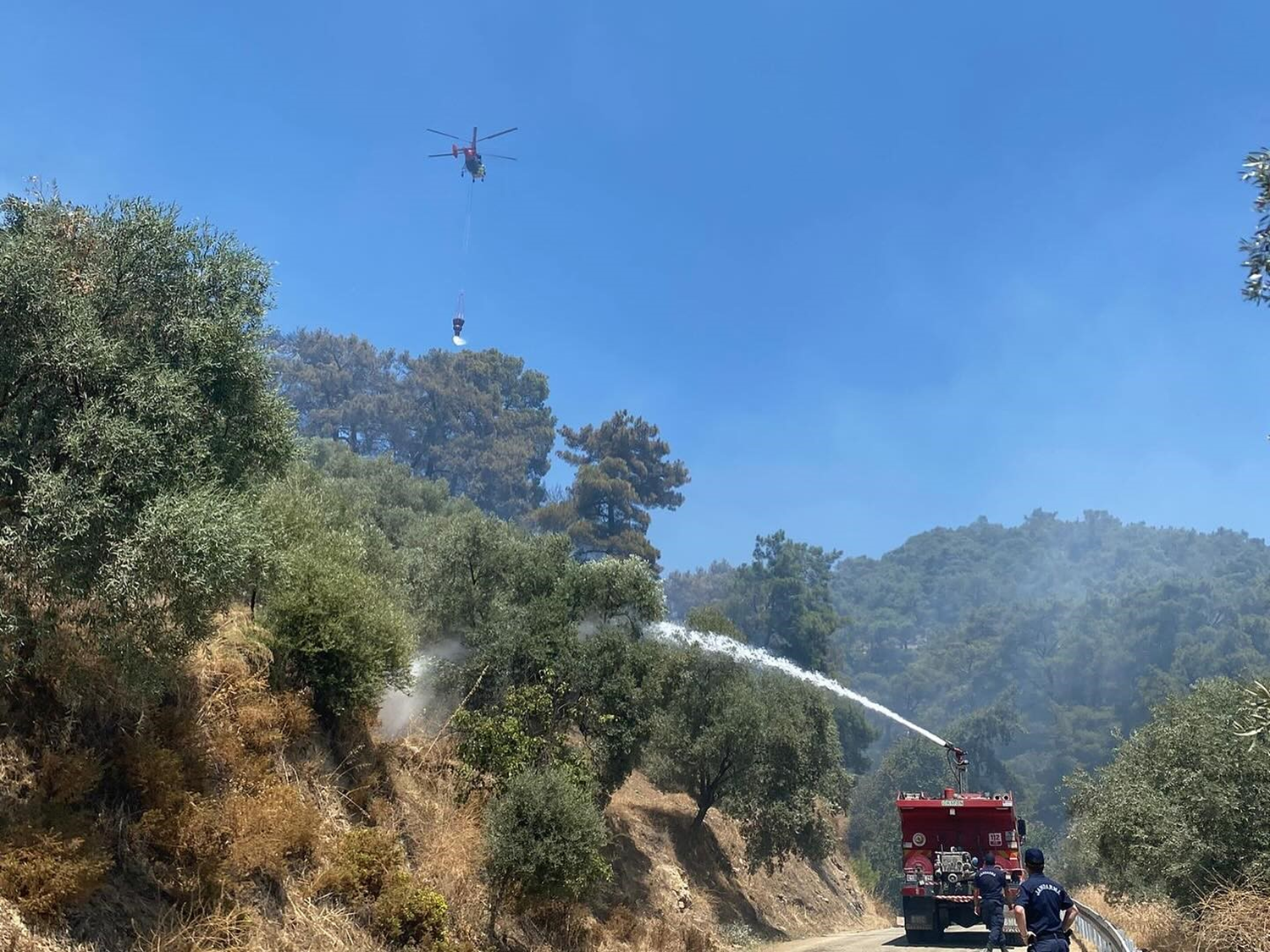 Aydın'daki orman yangını kontrol altına alındı