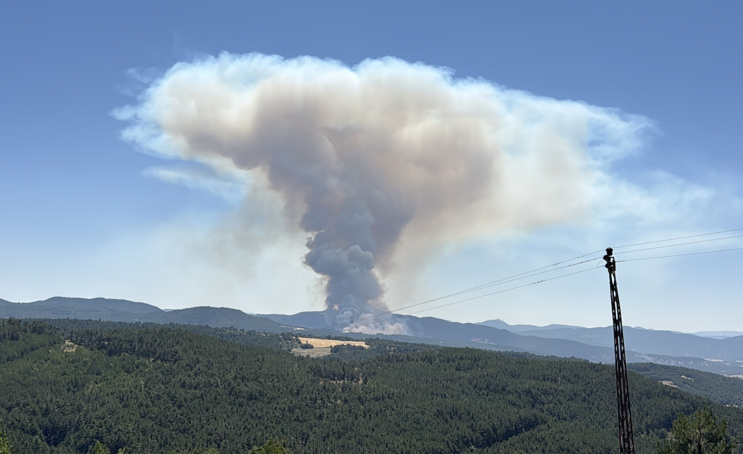 Bolu'da orman yangını: Ekipler müdahale ediyor