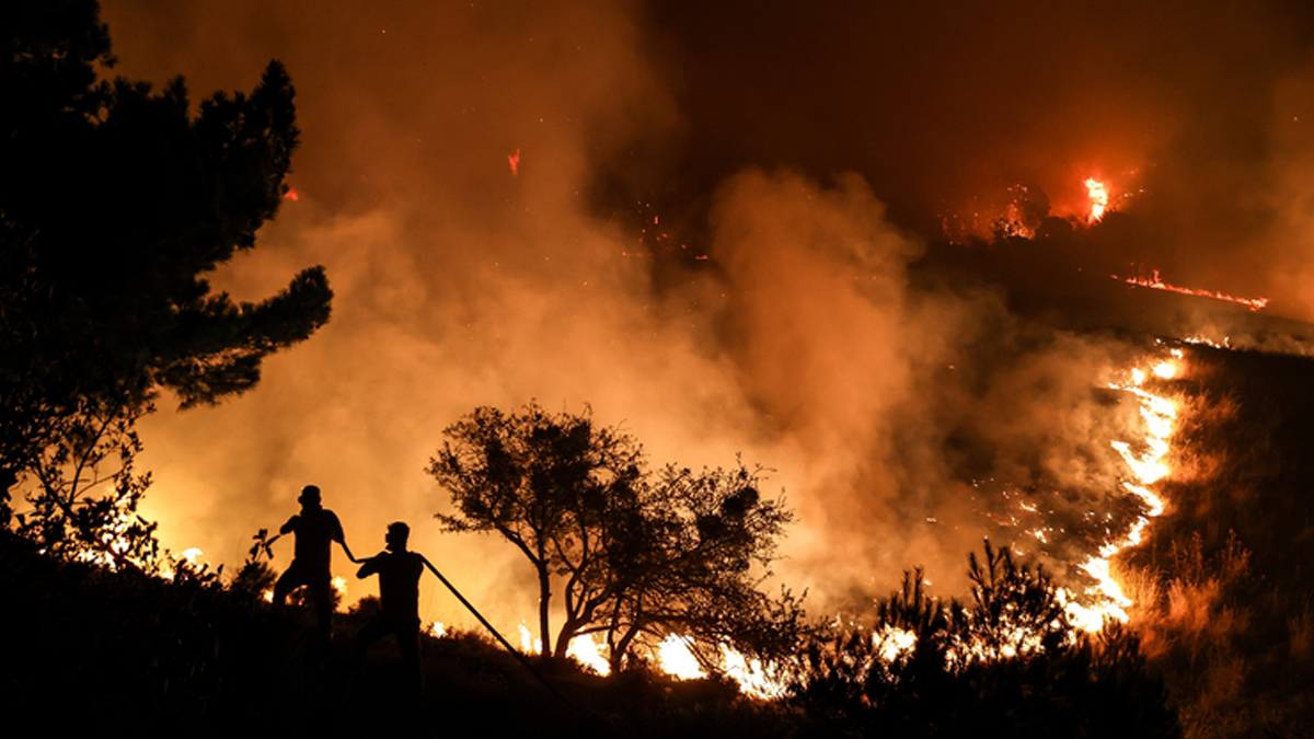 Požari v Çanakkale: Končana ocena škode in požar pod nadzorom