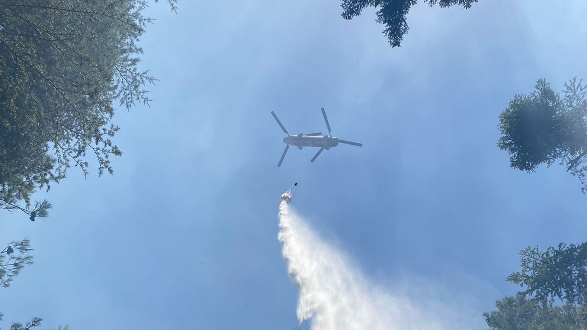 V Mersinu v Turčiji izbruhnil gozdni požar, posredujejo gasilci