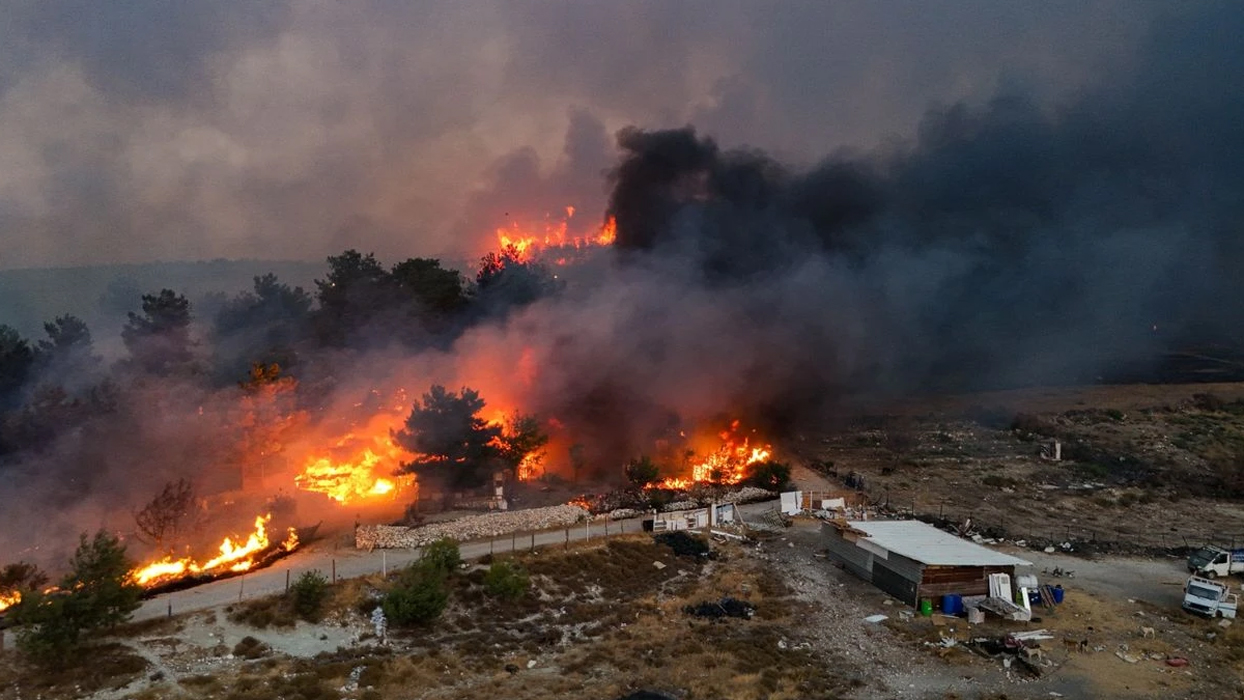 V Osmaniju umrl še en gozdni delavec, število smrtnih žrtev se je povečalo na dve