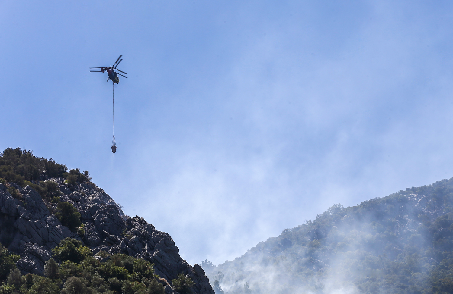 V Karamürselu v Turčiji izbruhnil gozdni požar, gasilci se trudijo z zajezitvijo