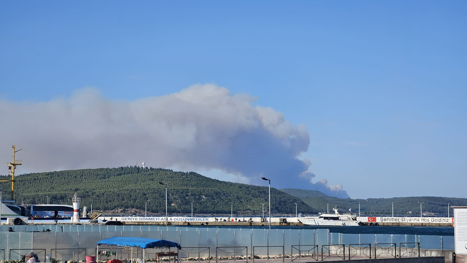 Çanakkale ve Sinop'ta yangın: Alevlerle mücadele başladı