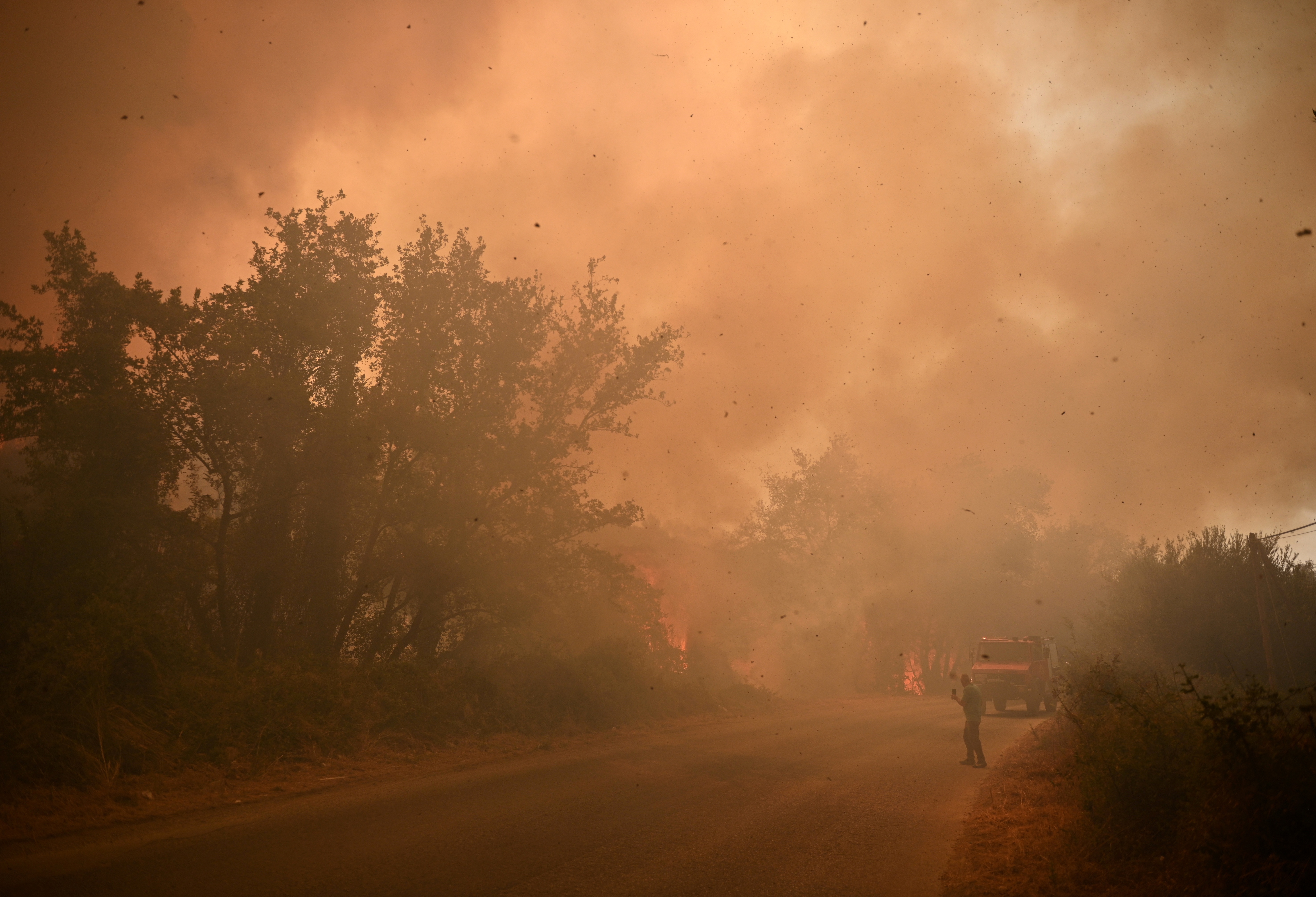 V Grčiji v štirih dneh izbruhnilo 242 gozdnih požarov zaradi vročine in vetra