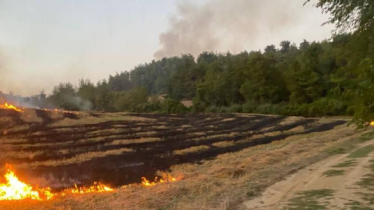 V Adani, Turčija, izbruhnil gozdni požar