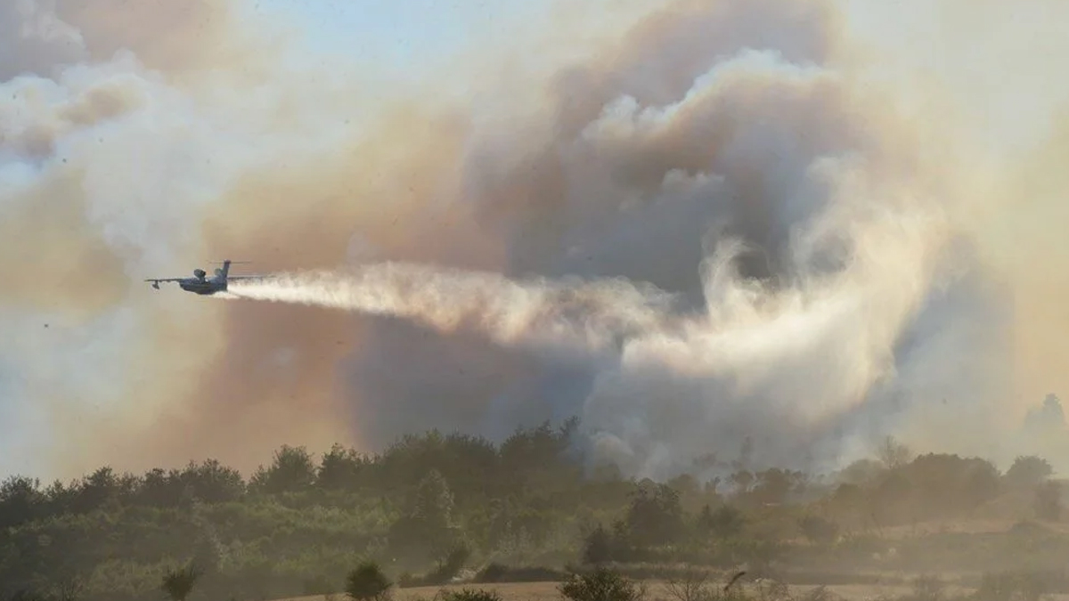 Požar v Geliboluju v Çanakkaleju pogašen, prebivalci se vračajo domov