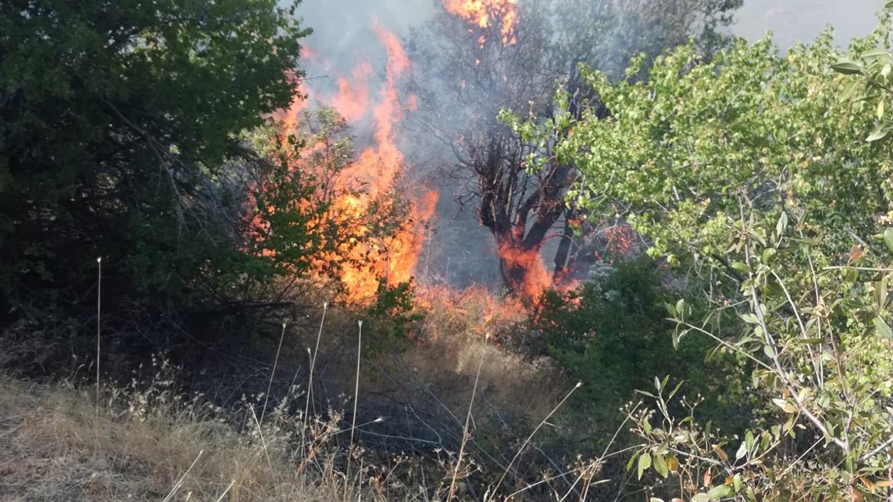 V Malatyi v Turčiji divja gozdni požar, gasilci se borijo z ognjem
