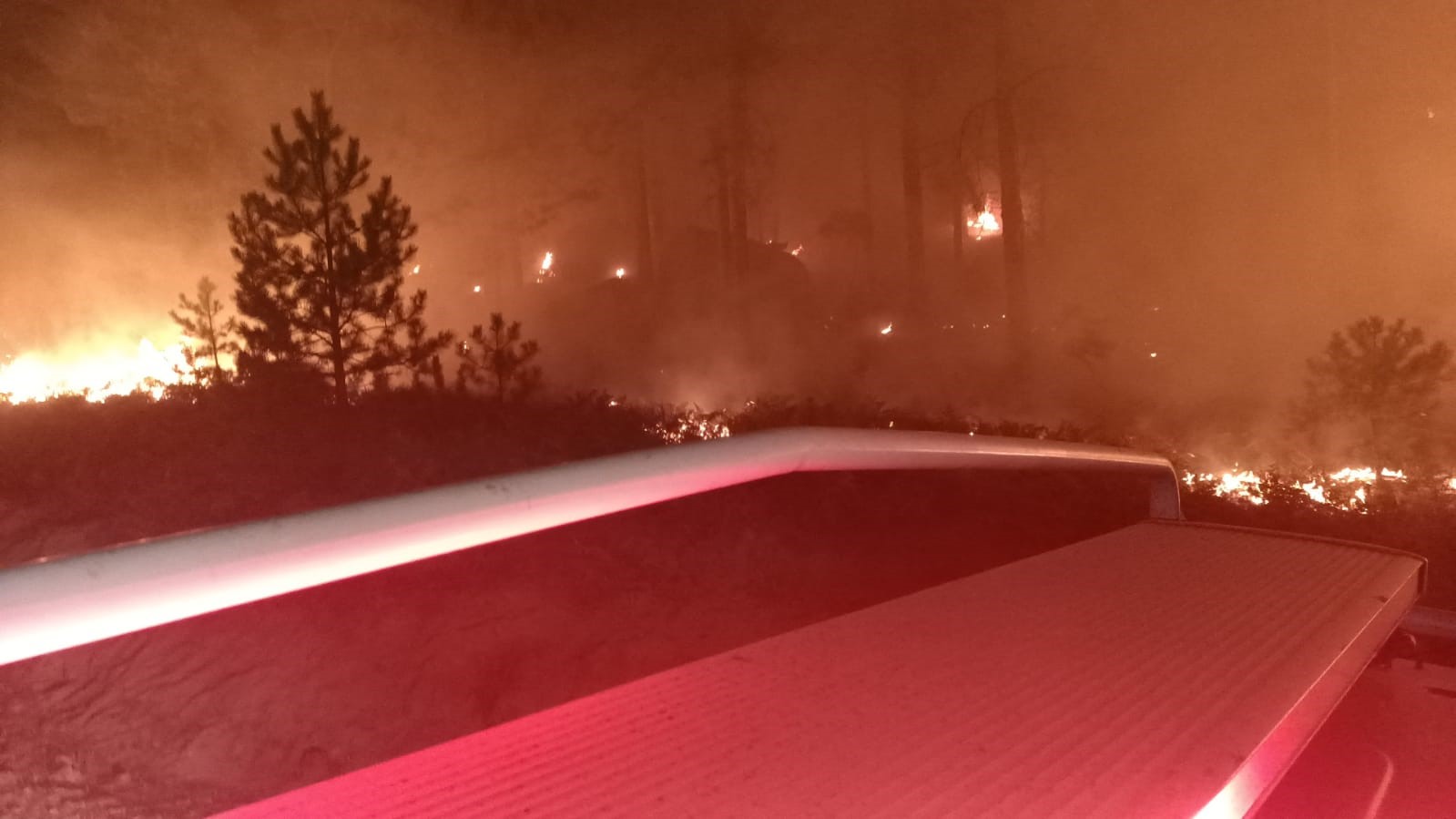 V Muğli v Yatağanu izbruhnil gozdni požar