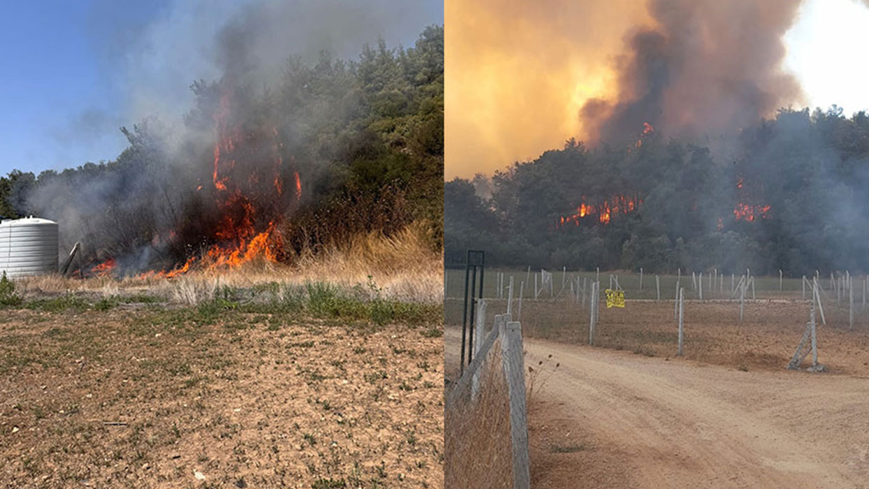 V İzmirju, Menderesu, požar zajel kmetijske površine in se razširil v gozd