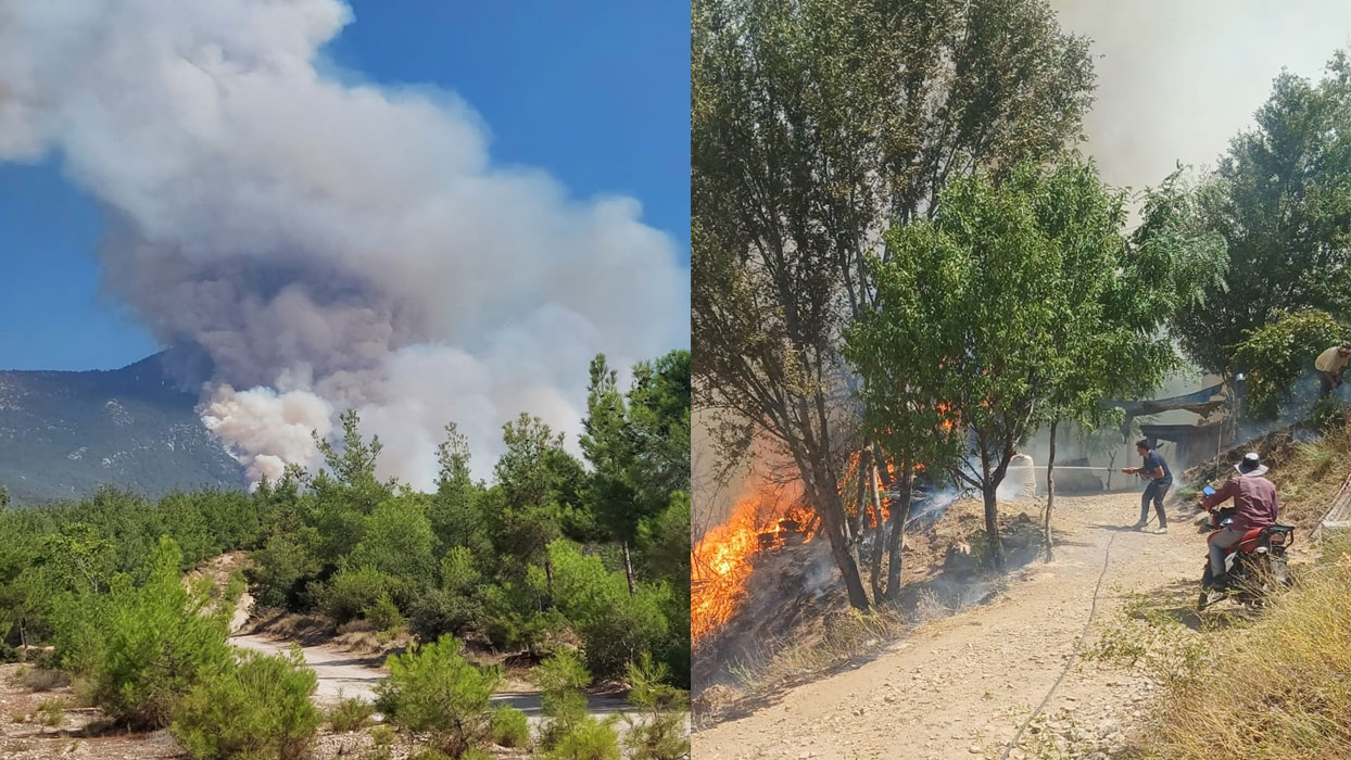 V Denizliju, Turčija, izbruhnil gozdni požar