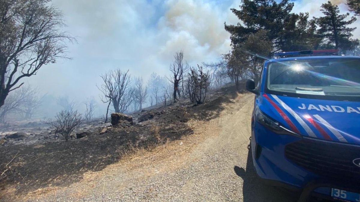 V Seferihisarju v Izmirju izbruhnil gozdni požar, posredovale letalske in kopenske enote