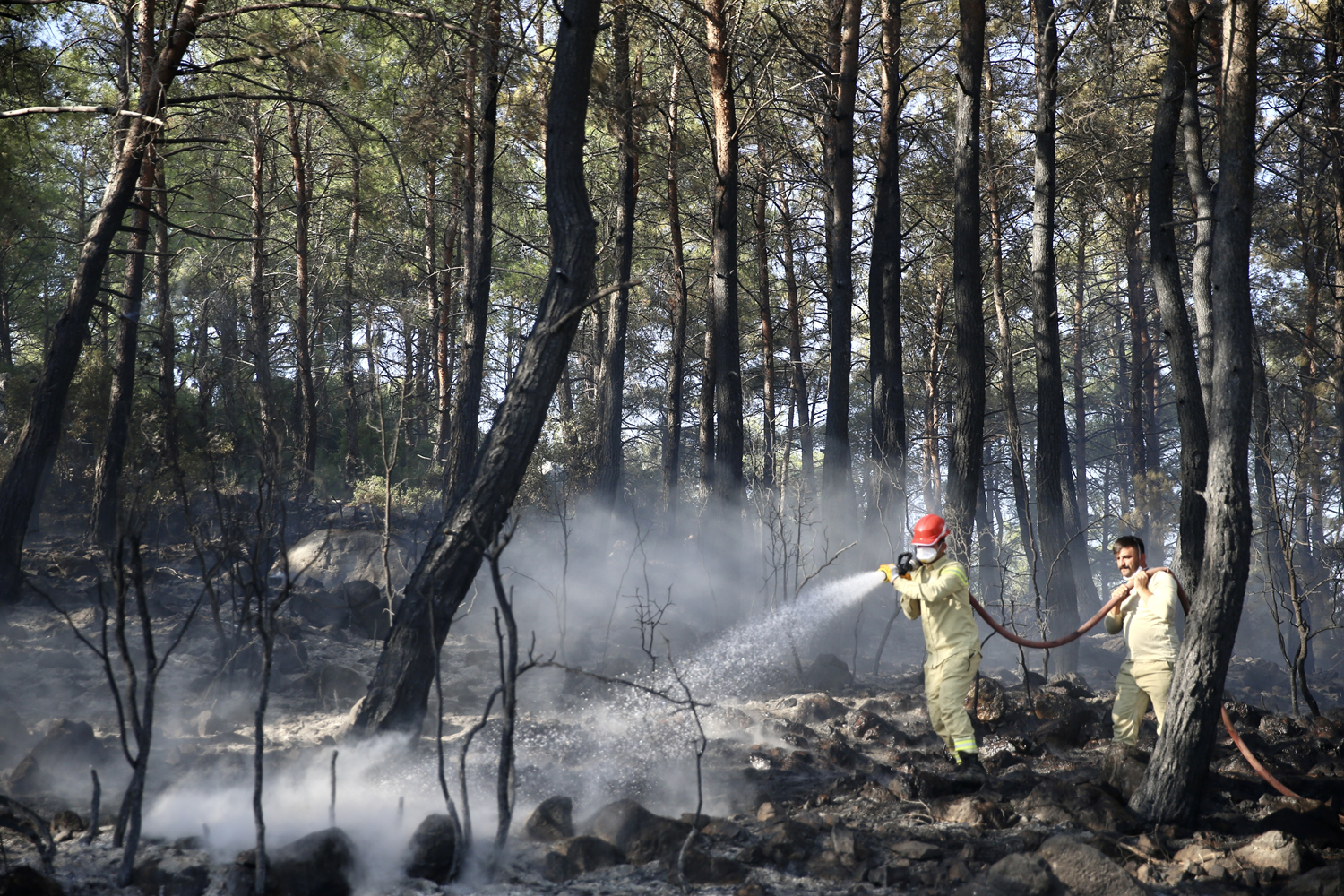 Muğla'dan sevindirici haber: Orman yangını kontrol altına alındı