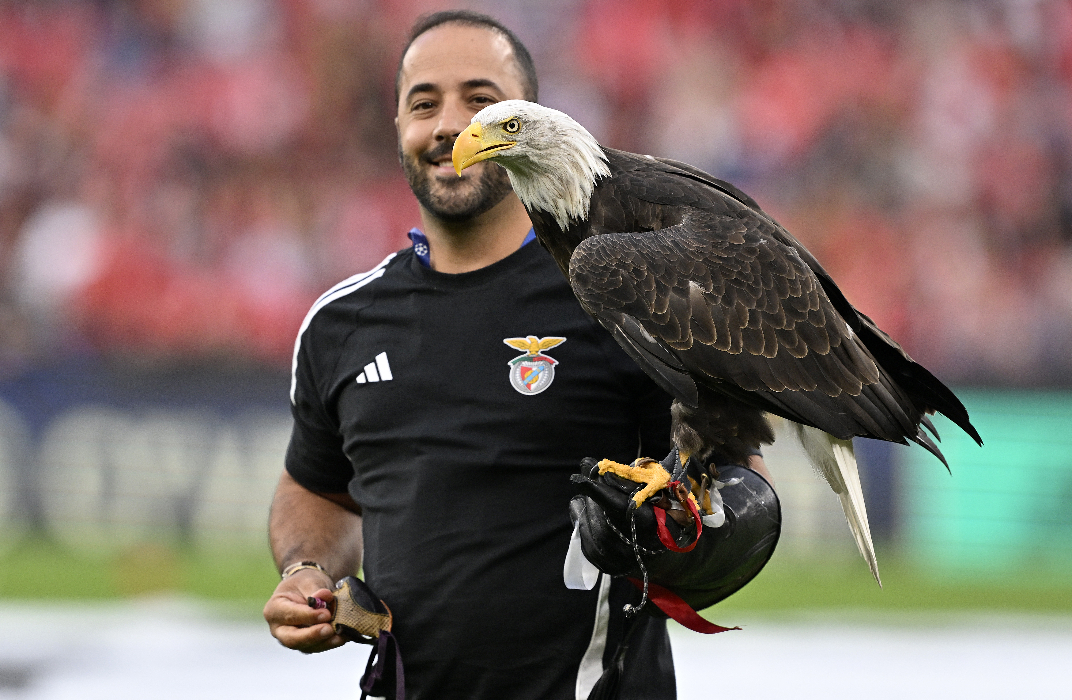 Benfica - Fenerbahçe maçı öncesi kartal uçuruldu