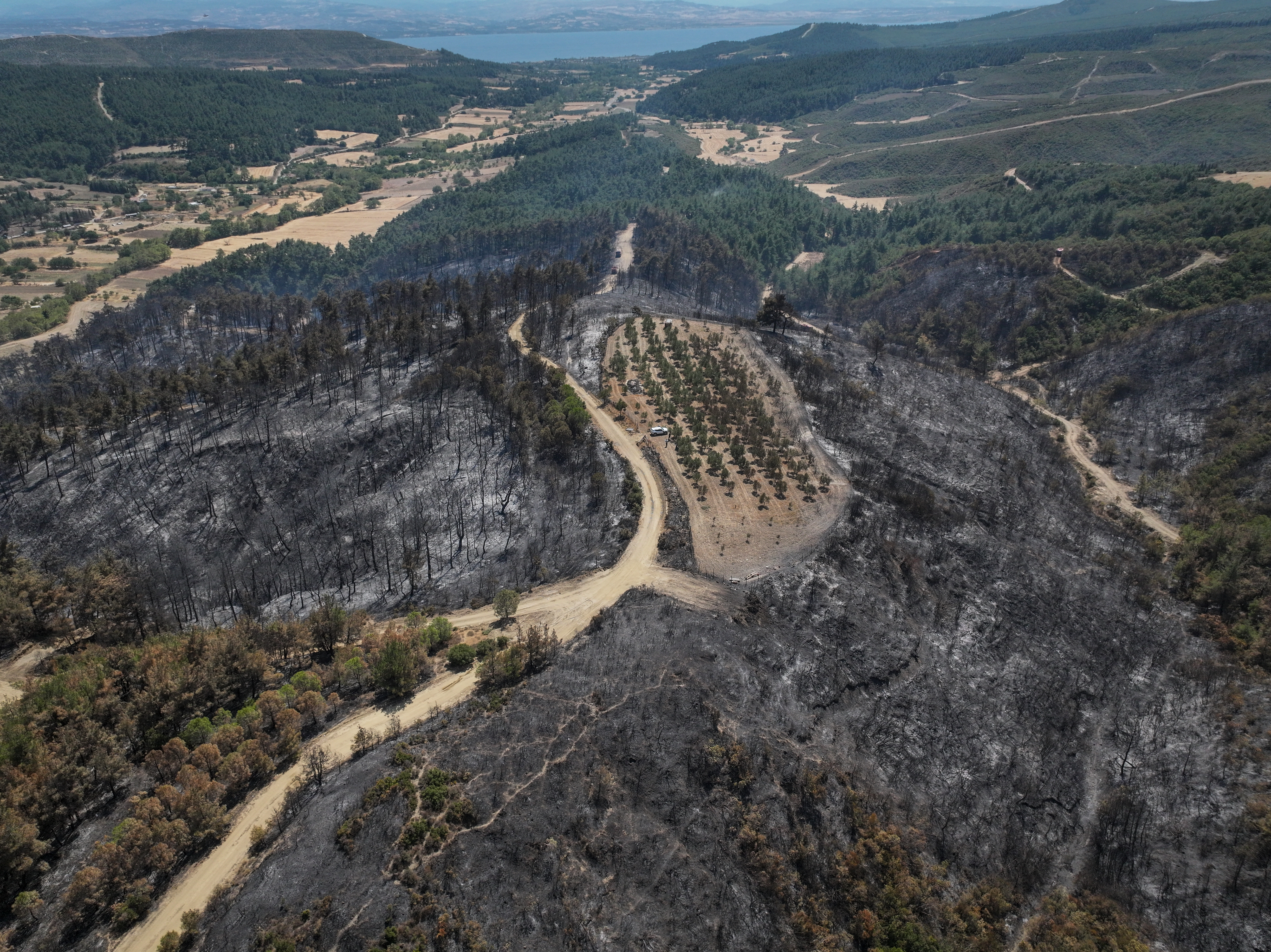 Požari prizadeli Çanakkale in Burso, v Çanakkale poleti zgorelo že več kot 7000 hektarjev