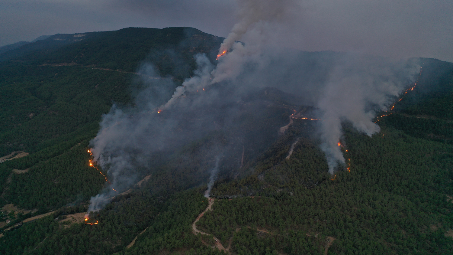 Požar v gozdnatem območju Ataşehirja pogašen