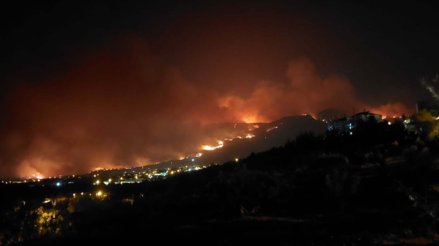 Gozdni požar v Buldanu v Turčiji se nadaljuje že četrti dan, evakuirani dve soseski