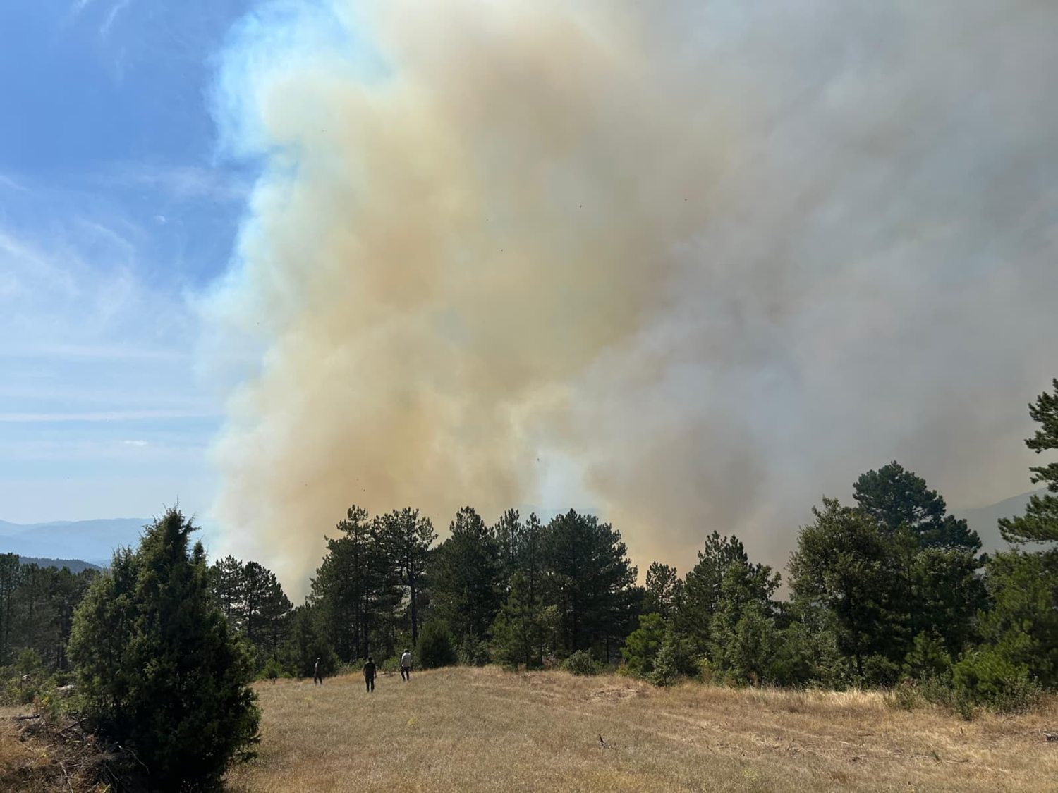 Bursa'daki yangın kontrol altında