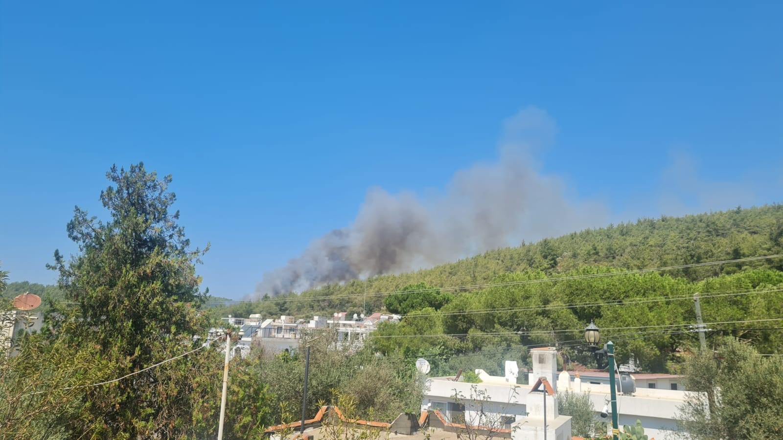 V Bodrumu v Turčiji divja gozdni požar, oblasti se trudijo z gašenjem iz zraka in s tal
