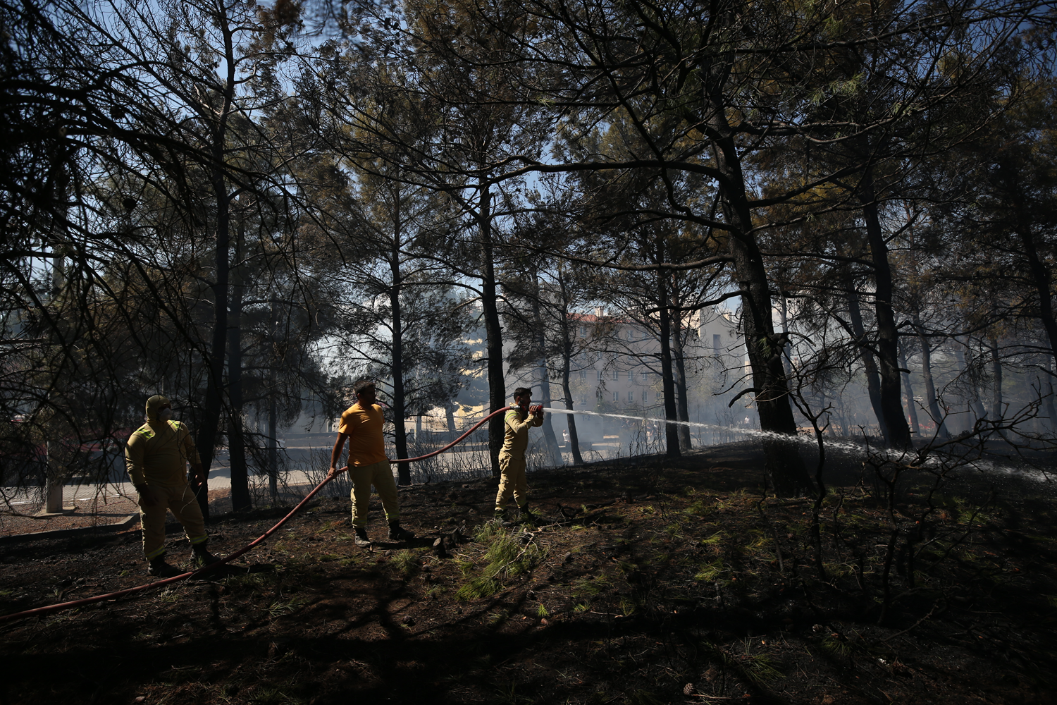 Çanakkale'de orman yangını... Alevler kontrol altına alındı