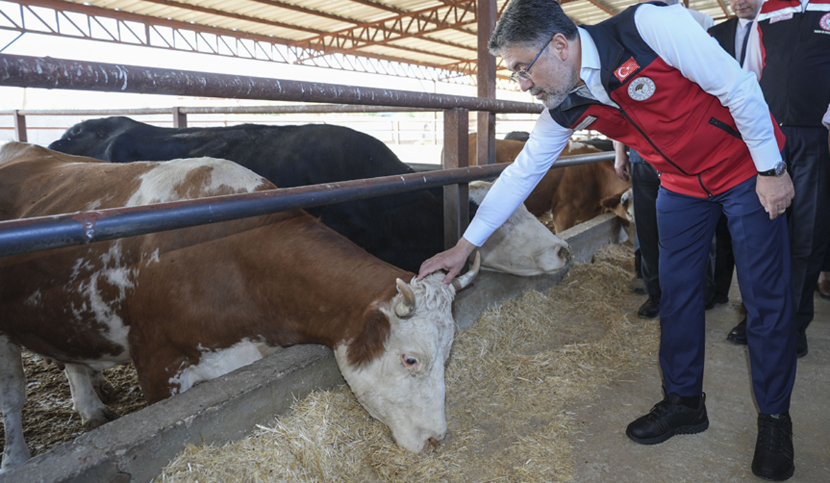 Bakan Yumaklı: Hayvan pazarları 81 ilimizde açılacak