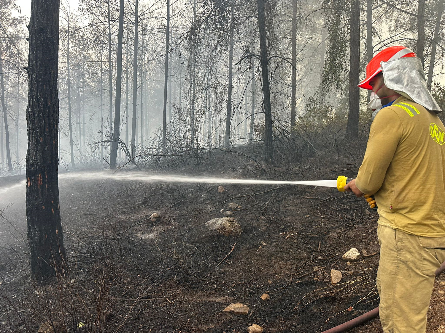 Požar v Osmaniju pod nadzorom, vendar je uničenih pet hektarjev gozda