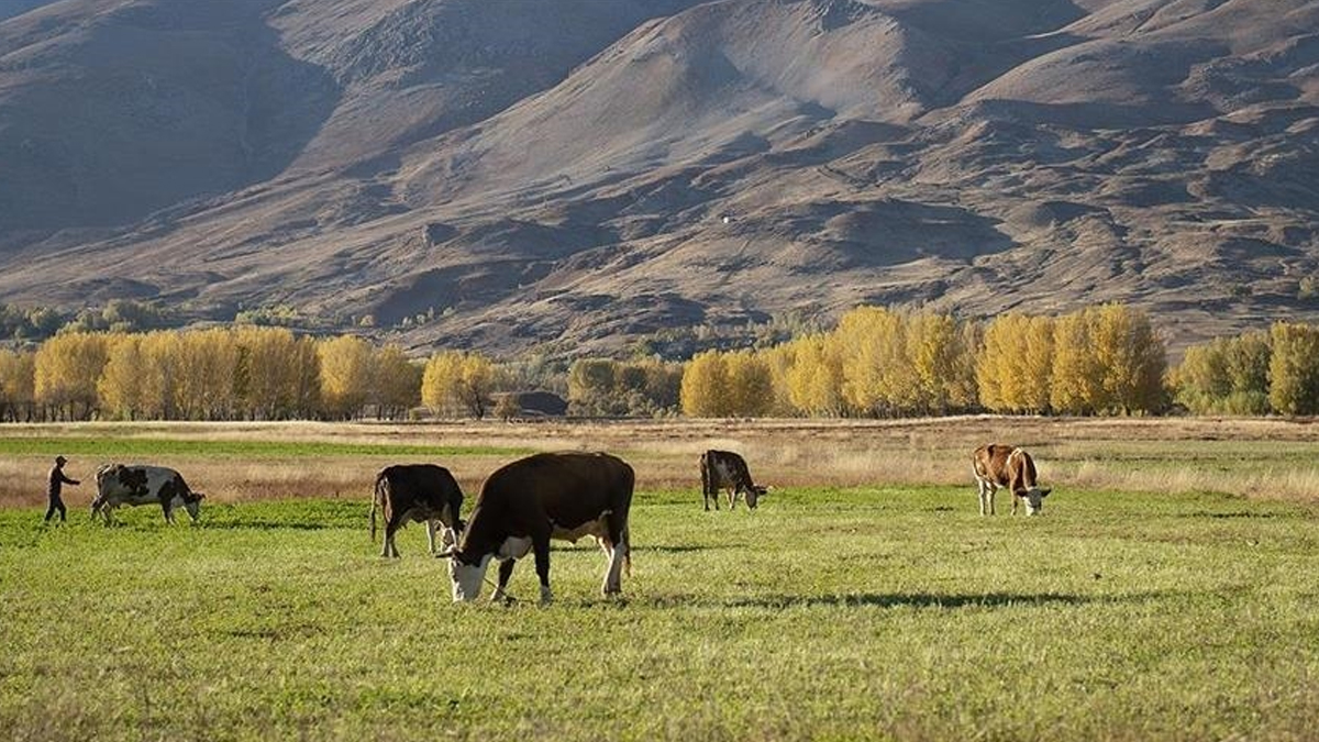 Tarım ve hayvancılıkta yol haritası belli oldu