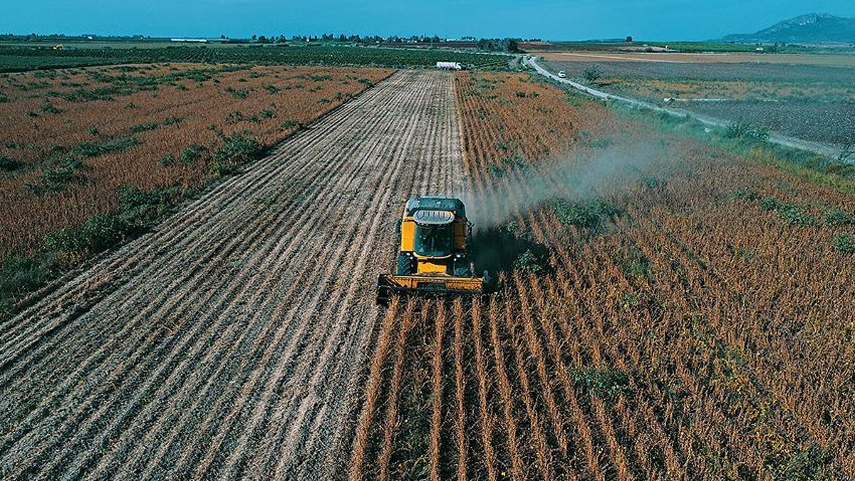 Tarım Bakanlığı'ndan çiftçilere ödeme müjdesi: Bugün hesaplara yatırılacak