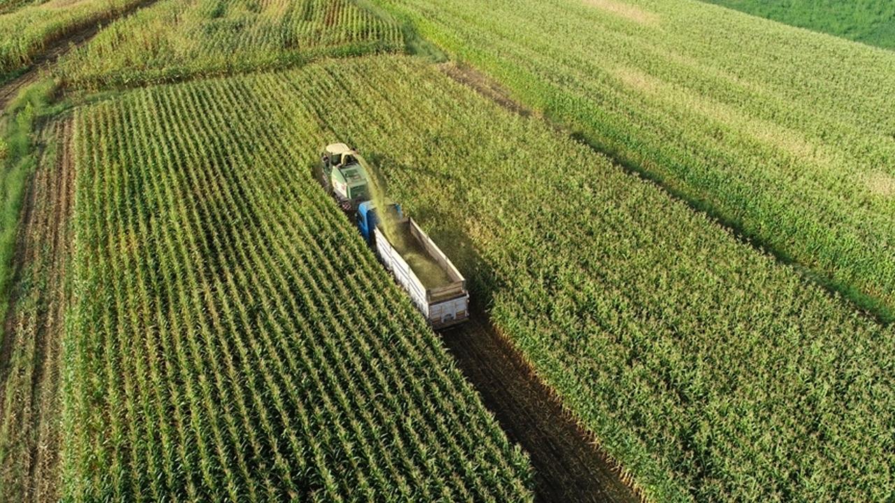 349 milyon liralık tarımsal destekleme ödemeleri hesaplara aktarılıyor
