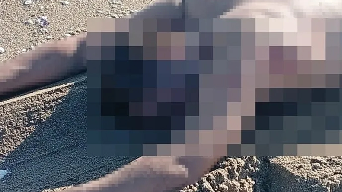 Sakarya'da esrarengiz olay: Sahilde erkek cesedi bulundu!