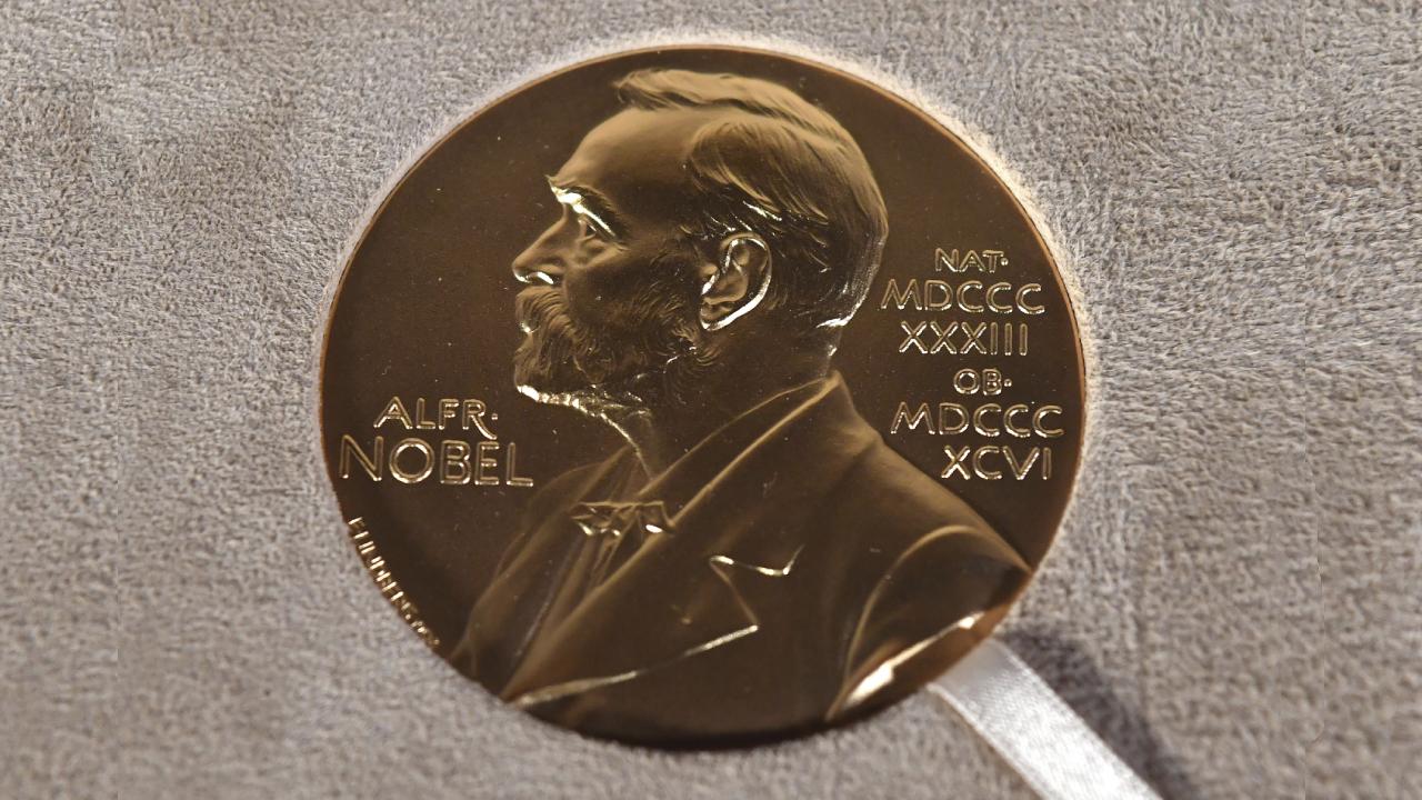 2025 Nobel Tıp Ödülü'nün sahipleri belli oldu