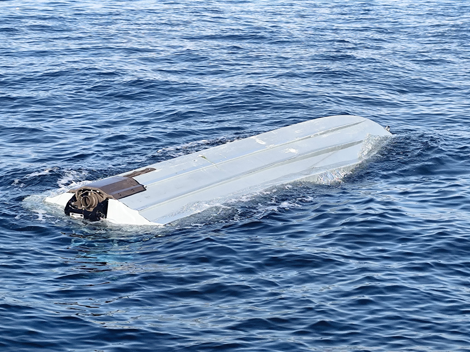 Hopa'da balıkçılar farketti: Karadeniz'den bir İDA daha çıktı